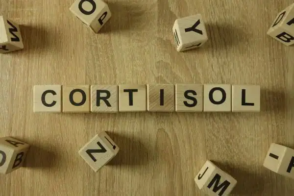 The Hidden Connection: How Stress Shapes Your Fitness and Body Composition 2 Image saying "Cortisol" and how stress Wickford impacts your wellbeing and bodies shape
